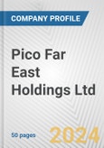 Pico Far East Holdings Ltd. Fundamental Company Report Including Financial, SWOT, Competitors and Industry Analysis- Product Image