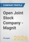 Open Joint Stock Company - Magnit Fundamental Company Report Including Financial, SWOT, Competitors and Industry Analysis - Product Thumbnail Image