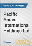 Pacific Andes International Holdings Ltd. Fundamental Company Report Including Financial, SWOT, Competitors and Industry Analysis- Product Image