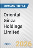 Oriental Ginza Holdings Limited Fundamental Company Report Including Financial, SWOT, Competitors and Industry Analysis- Product Image