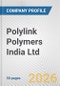 Polylink Polymers India Ltd. Fundamental Company Report Including Financial, SWOT, Competitors and Industry Analysis - Product Thumbnail Image