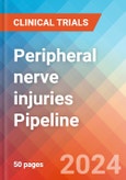 Peripheral nerve injuries - Pipeline Insight, 2024- Product Image