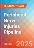 Peripheral nerve injuries - Pipeline Insight, 2024- Product Image