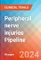 Peripheral nerve injuries - Pipeline Insight, 2024 - Product Image