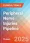 Peripheral nerve injuries - Pipeline Insight, 2024 - Product Image