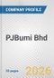 PJBumi Bhd Fundamental Company Report Including Financial, SWOT, Competitors and Industry Analysis - Product Thumbnail Image