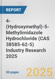 4-(Hydroxymethyl)-5-Methylimidazole Hydrochloride (CAS 38585-62-5) Industry Research 2025: Global and Regional Market Trends 2019-2024 and Forecast to 2029- Product Image