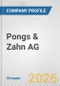 Pongs & Zahn AG Fundamental Company Report Including Financial, SWOT, Competitors and Industry Analysis - Product Thumbnail Image