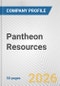 Pantheon Resources Fundamental Company Report Including Financial, SWOT, Competitors and Industry Analysis - Product Thumbnail Image