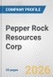 Pepper Rock Resources Corp. Fundamental Company Report Including Financial, SWOT, Competitors and Industry Analysis - Product Thumbnail Image