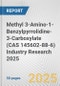 Methyl 3-Amino-1-Benzylpyrrolidine-3-Carboxylate (CAS 145602-88-6) Industry Research 2025: Global and Regional Market Trends 2019-2024 and Forecast to 2029 - Product Image