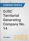 OJSC Territorial Generating Company No. 14 Fundamental Company Report Including Financial, SWOT, Competitors and Industry Analysis - Product Thumbnail Image