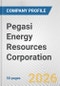 Pegasi Energy Resources Corporation Fundamental Company Report Including Financial, SWOT, Competitors and Industry Analysis - Product Thumbnail Image