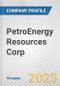 PetroEnergy Resources Corp. Fundamental Company Report Including Financial, SWOT, Competitors and Industry Analysis - Product Thumbnail Image