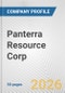 Panterra Resource Corp. Fundamental Company Report Including Financial, SWOT, Competitors and Industry Analysis - Product Thumbnail Image