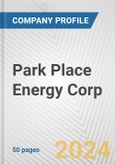 Park Place Energy Corp. Fundamental Company Report Including Financial, SWOT, Competitors and Industry Analysis- Product Image