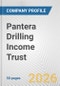 Pantera Drilling Income Trust Fundamental Company Report Including Financial, SWOT, Competitors and Industry Analysis - Product Thumbnail Image