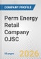 Perm Energy Retail Company OJSC Fundamental Company Report Including Financial, SWOT, Competitors and Industry Analysis - Product Thumbnail Image