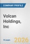 Volcan Holdings, Inc. Fundamental Company Report Including Financial, SWOT, Competitors and Industry Analysis - Product Thumbnail Image