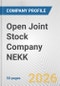 Open Joint Stock Company NEKK Fundamental Company Report Including Financial, SWOT, Competitors and Industry Analysis - Product Thumbnail Image