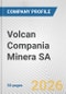 Volcan Compania Minera SA Fundamental Company Report Including Financial, SWOT, Competitors and Industry Analysis - Product Thumbnail Image