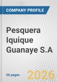Pesquera Iquique Guanaye S.A. Fundamental Company Report Including Financial, SWOT, Competitors and Industry Analysis- Product Image