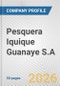 Pesquera Iquique Guanaye S.A. Fundamental Company Report Including Financial, SWOT, Competitors and Industry Analysis - Product Thumbnail Image