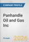 Panhandle Oil and Gas Inc. Fundamental Company Report Including Financial, SWOT, Competitors and Industry Analysis - Product Thumbnail Image