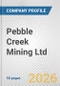 Pebble Creek Mining Ltd. Fundamental Company Report Including Financial, SWOT, Competitors and Industry Analysis - Product Thumbnail Image