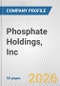 Phosphate Holdings, Inc. Fundamental Company Report Including Financial, SWOT, Competitors and Industry Analysis - Product Thumbnail Image