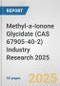 Methyl-a-Ionone Glycidate (CAS 67905-40-2) Industry Research 2025: Global and Regional Market Trends 2019-2024 and Forecast to 2029 - Product Thumbnail Image