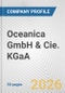 Oceanica GmbH & Cie. KGaA Fundamental Company Report Including Financial, SWOT, Competitors and Industry Analysis - Product Thumbnail Image