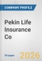 Pekin Life Insurance Co. Fundamental Company Report Including Financial, SWOT, Competitors and Industry Analysis - Product Thumbnail Image