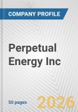 Perpetual Energy Inc. Fundamental Company Report Including Financial, SWOT, Competitors and Industry Analysis- Product Image