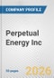 Perpetual Energy Inc. Fundamental Company Report Including Financial, SWOT, Competitors and Industry Analysis - Product Thumbnail Image