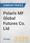 Polaris MF Global Futures Co. Ltd. Fundamental Company Report Including Financial, SWOT, Competitors and Industry Analysis - Product Thumbnail Image