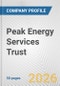 Peak Energy Services Trust Fundamental Company Report Including Financial, SWOT, Competitors and Industry Analysis - Product Thumbnail Image