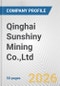 Qinghai Sunshiny Mining Co.,Ltd. Fundamental Company Report Including Financial, SWOT, Competitors and Industry Analysis - Product Thumbnail Image