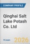 Qinghai Salt Lake Potash Co. Ltd. Fundamental Company Report Including Financial, SWOT, Competitors and Industry Analysis - Product Thumbnail Image