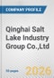 Qinghai Salt Lake Industry Group Co.,Ltd. Fundamental Company Report Including Financial, SWOT, Competitors and Industry Analysis - Product Thumbnail Image