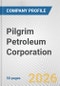 Pilgrim Petroleum Corporation Fundamental Company Report Including Financial, SWOT, Competitors and Industry Analysis - Product Thumbnail Image