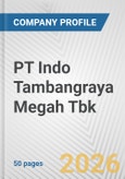 PT Indo Tambangraya Megah Tbk Fundamental Company Report Including Financial, SWOT, Competitors and Industry Analysis- Product Image