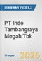 PT Indo Tambangraya Megah Tbk Fundamental Company Report Including Financial, SWOT, Competitors and Industry Analysis - Product Thumbnail Image