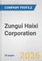 Zungui Haixi Corporation Fundamental Company Report Including Financial, SWOT, Competitors and Industry Analysis - Product Thumbnail Image