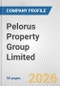 Pelorus Property Group Limited Fundamental Company Report Including Financial, SWOT, Competitors and Industry Analysis - Product Thumbnail Image