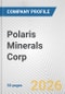 Polaris Minerals Corp Fundamental Company Report Including Financial, SWOT, Competitors and Industry Analysis - Product Thumbnail Image