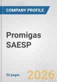 Promigas SAESP Fundamental Company Report Including Financial, SWOT, Competitors and Industry Analysis- Product Image