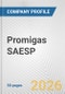 Promigas SAESP Fundamental Company Report Including Financial, SWOT, Competitors and Industry Analysis - Product Thumbnail Image