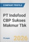 PT Indofood CBP Sukses Makmur Tbk Fundamental Company Report Including Financial, SWOT, Competitors and Industry Analysis - Product Thumbnail Image