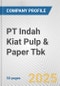 PT Indah Kiat Pulp & Paper Tbk Fundamental Company Report Including Financial, SWOT, Competitors and Industry Analysis - Product Thumbnail Image